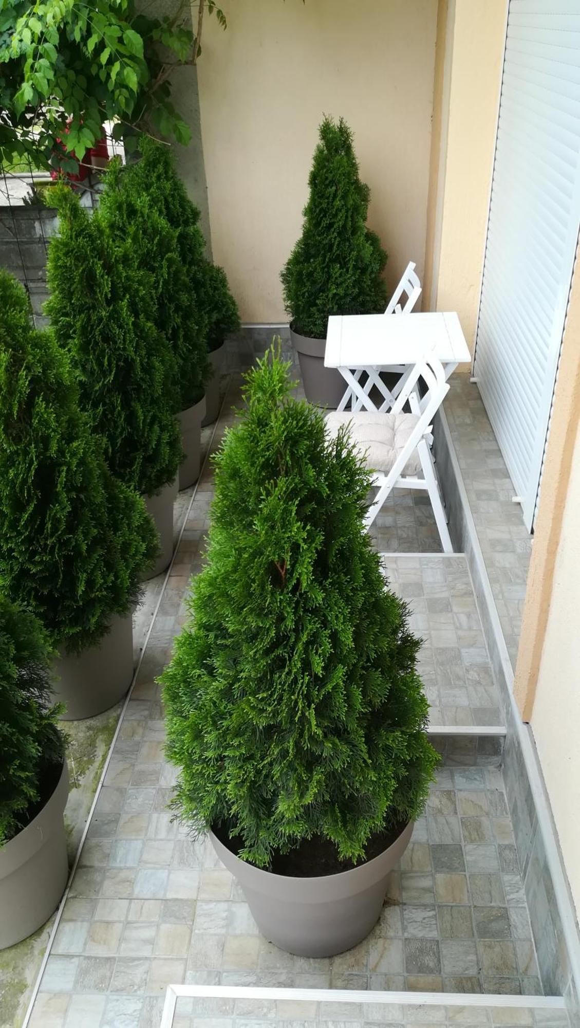 M4U Apartments Ni Buitenkant foto
